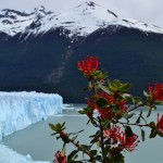 Le Perito Moreno