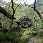 Los Saltos de Petrohue