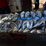 marché au poisson de Valparaiso