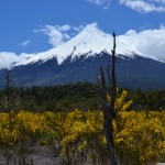 Le volcan Osorno