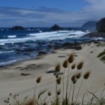 Les plages chiliennes