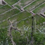 Pisac