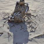 Une momie à Nazca