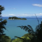 Abel Tasman N.P.