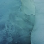 Glacier de Franz Josef