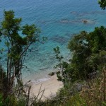 Abel Tasman N.P.