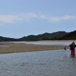 Abel Tasman N.P.