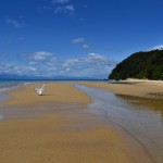 Abel Tasman N.P.