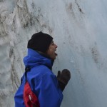 Glacier de Franz Josef