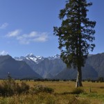 Lake Matheson