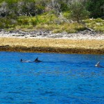 Jervis Bay