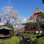 Temple de Senso-ji