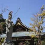 Miyajima