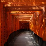 Fushimi-inari