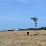 Great Ocean Road