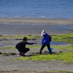 Enquête locale à Miyajima