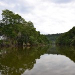 Parc national Ulu Temborang