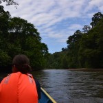 Parc national Ulu Temborang