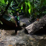 Parc national Ulu Temborang