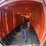 Fushimi-inari