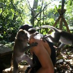 Monkey forest, Ubud